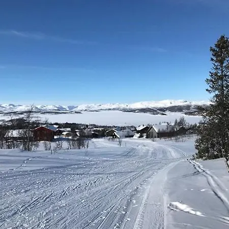 Authentic Overlooking Mosvann * Rjukan