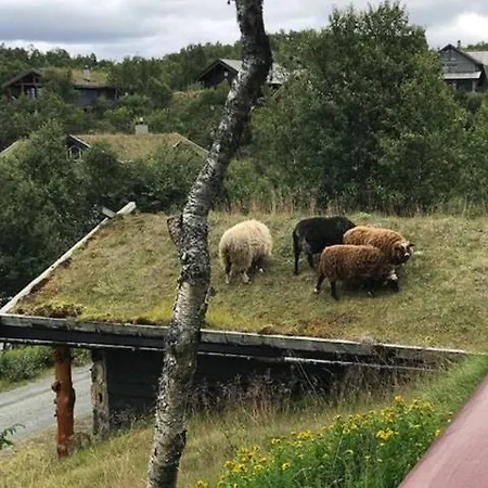 Сasa de vacaciones Authentic Overlooking Mosvann Sneiselii